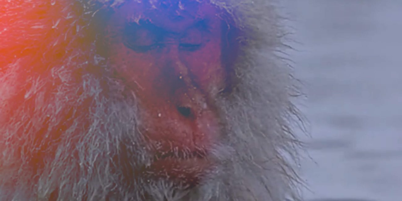 healing 432Hz solfeggio frequencies