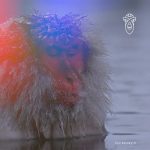 track-artwork